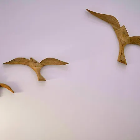 Precioso Duplex Con Patio Junto A La Catedral Cádis