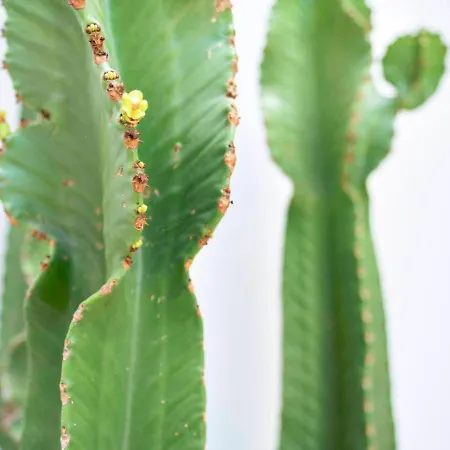 Apartamento Precioso Duplex Con Patio Junto A La Catedral